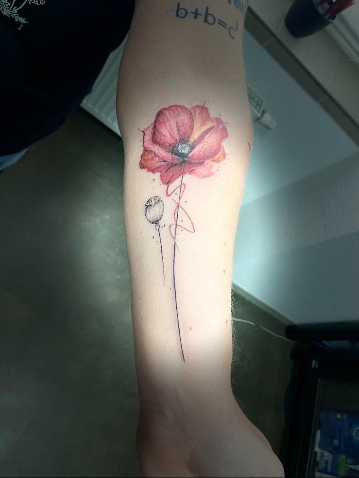 Mohnblume Tattoo in Farbe